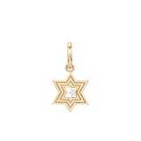 Groovy Star of David Hinged Charm