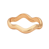 Ola Bangle