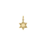 Adeena Star of David Pendant