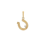 GROOVY DIAMOND  HORSESHOE HINGED CHARM
