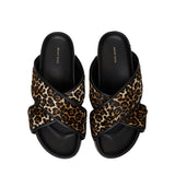 EMI SLIDES - LEOPARD