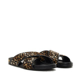 EMI SLIDES - LEOPARD