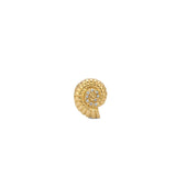 GROOVY DIAMOND SEASHELL BIG BEAD