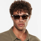 Harrison Polarized
