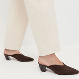 Perry Mule