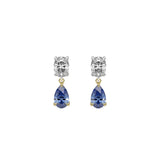 RAF EARRINGS