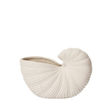SHELL POT