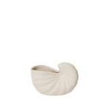 SHELL POT