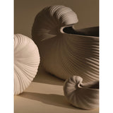 SHELL POT